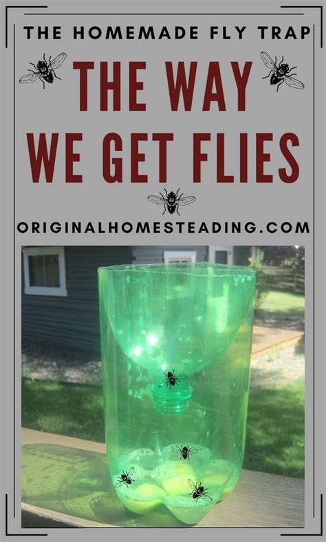 electric box fly trap|homemade fly traps that work.